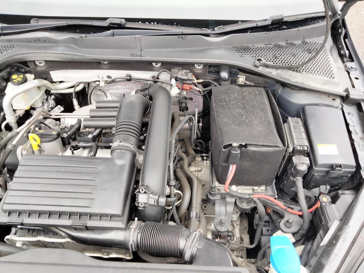 Used Volkswagen Golf 2025 for sale - 77040920: Photo 47