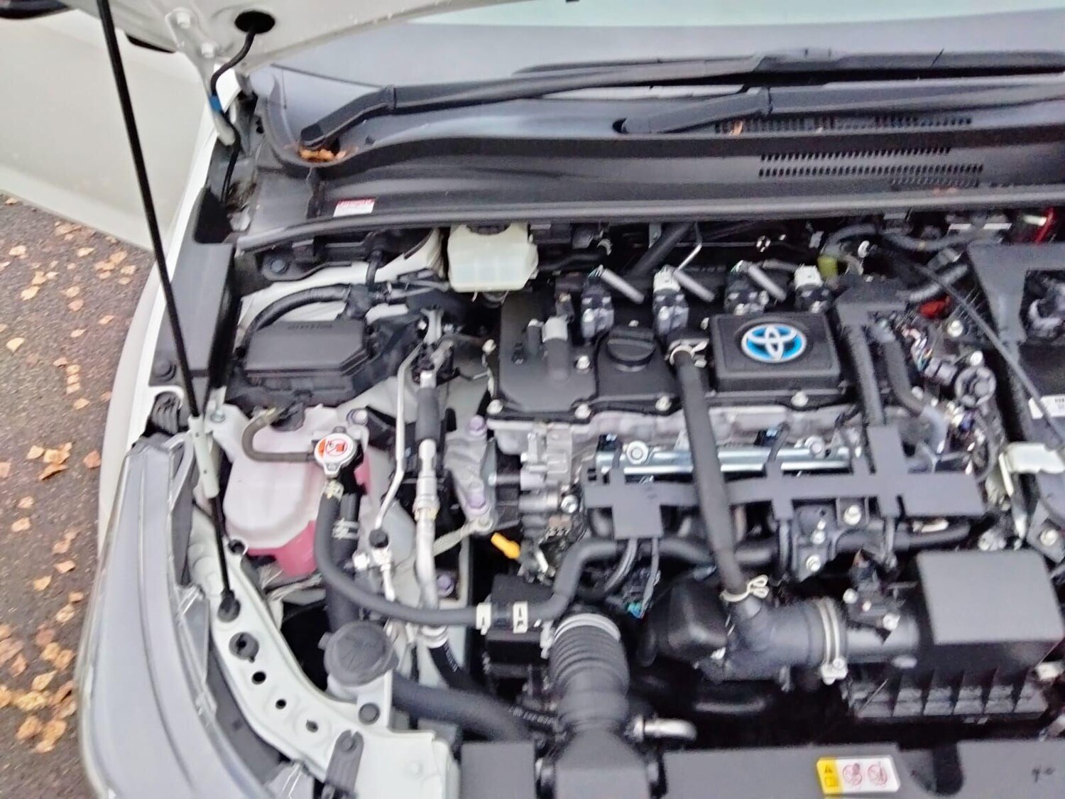 Used Toyota Corolla 2025 for sale - 77647584: Photo 48