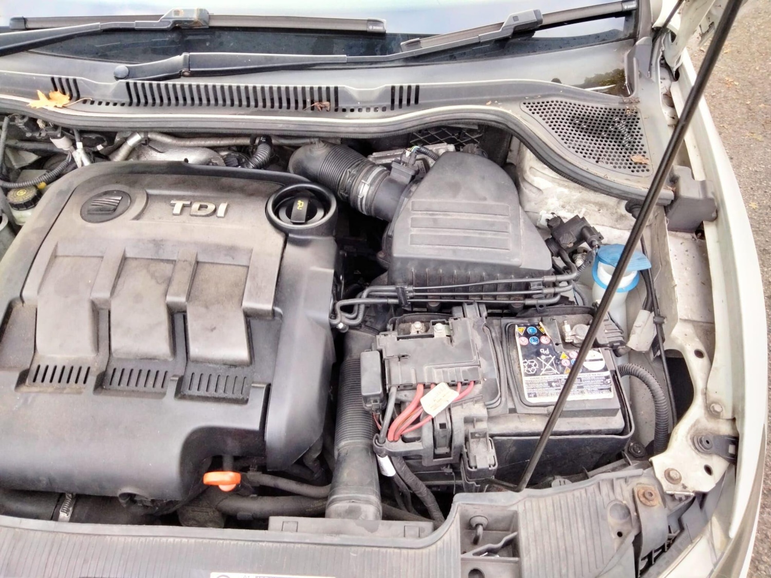 Used SEAT Ibiza 2012 for sale - 76865981: Photo 31