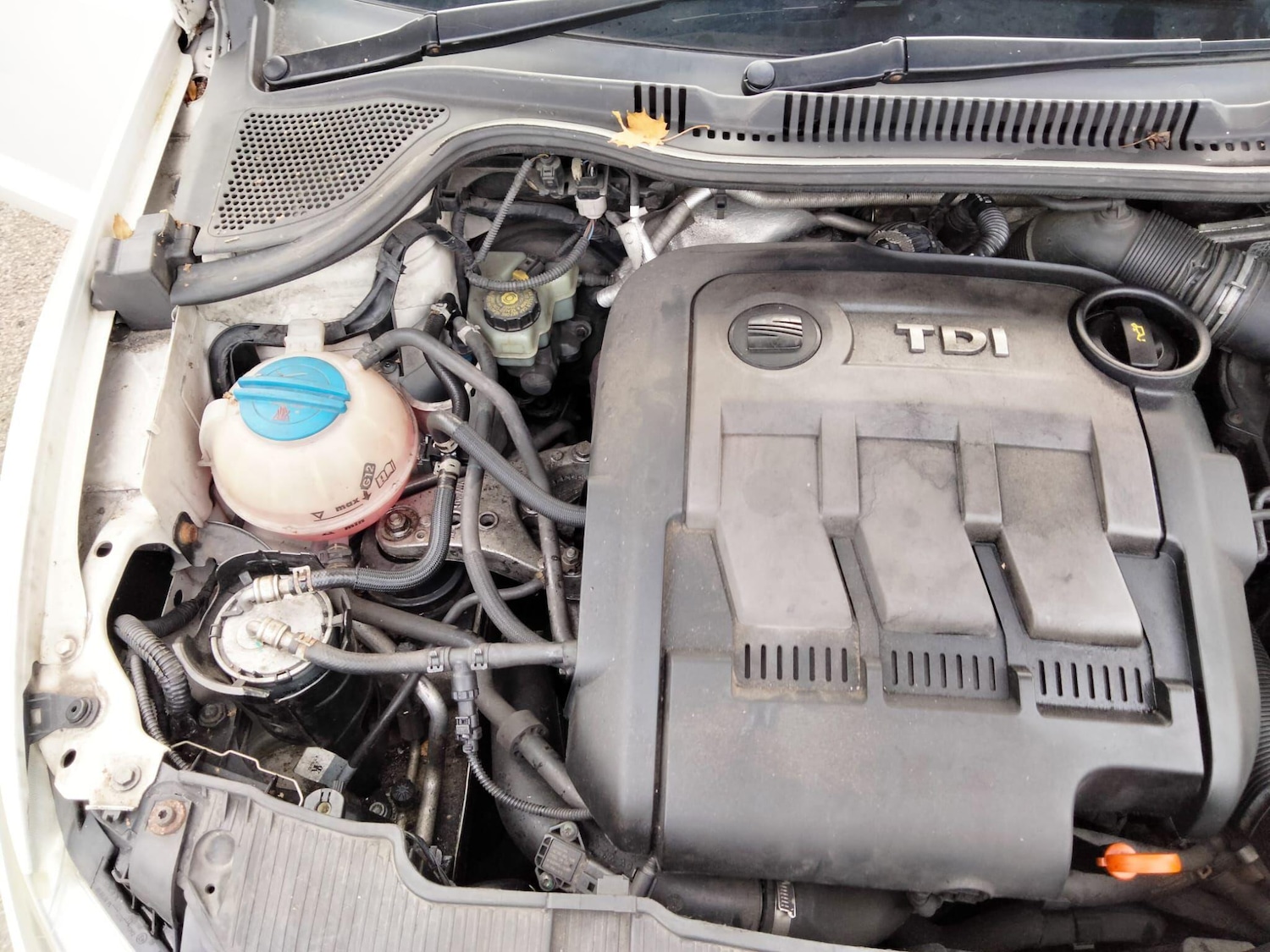 Used SEAT Ibiza 2012 for sale - 76865981: Photo 32