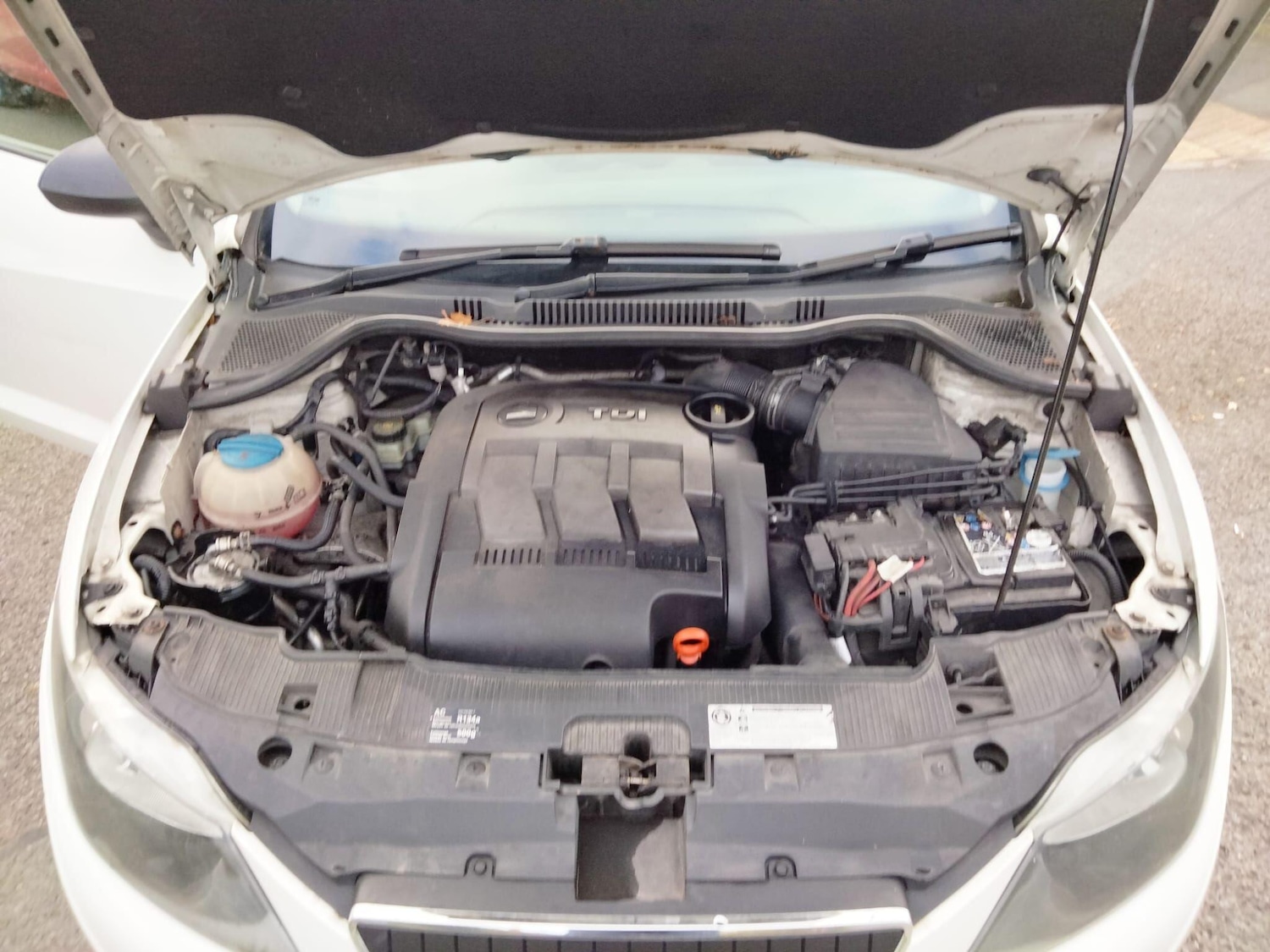 Used SEAT Ibiza 2012 for sale - 76865981: Photo 33