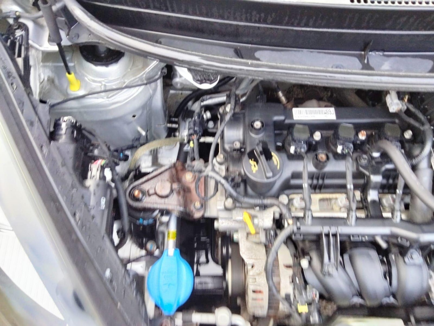 Used Kia Picanto 2017 for sale - 77081726: Photo 48