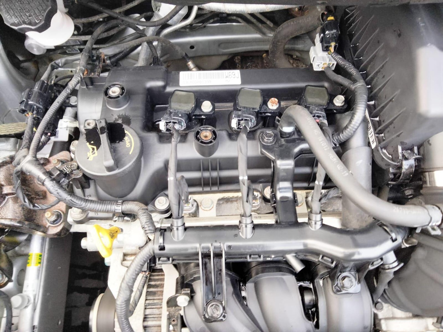 Used Kia Picanto 2017 for sale - 77081726: Photo 50