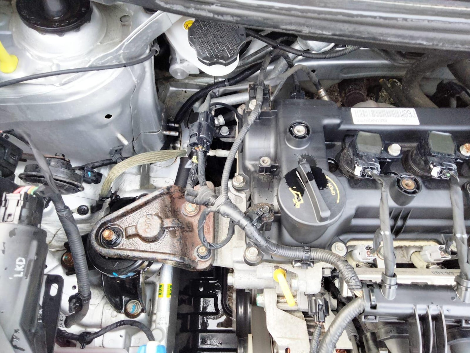 Used Kia Picanto 2017 for sale - 77081726: Photo 51