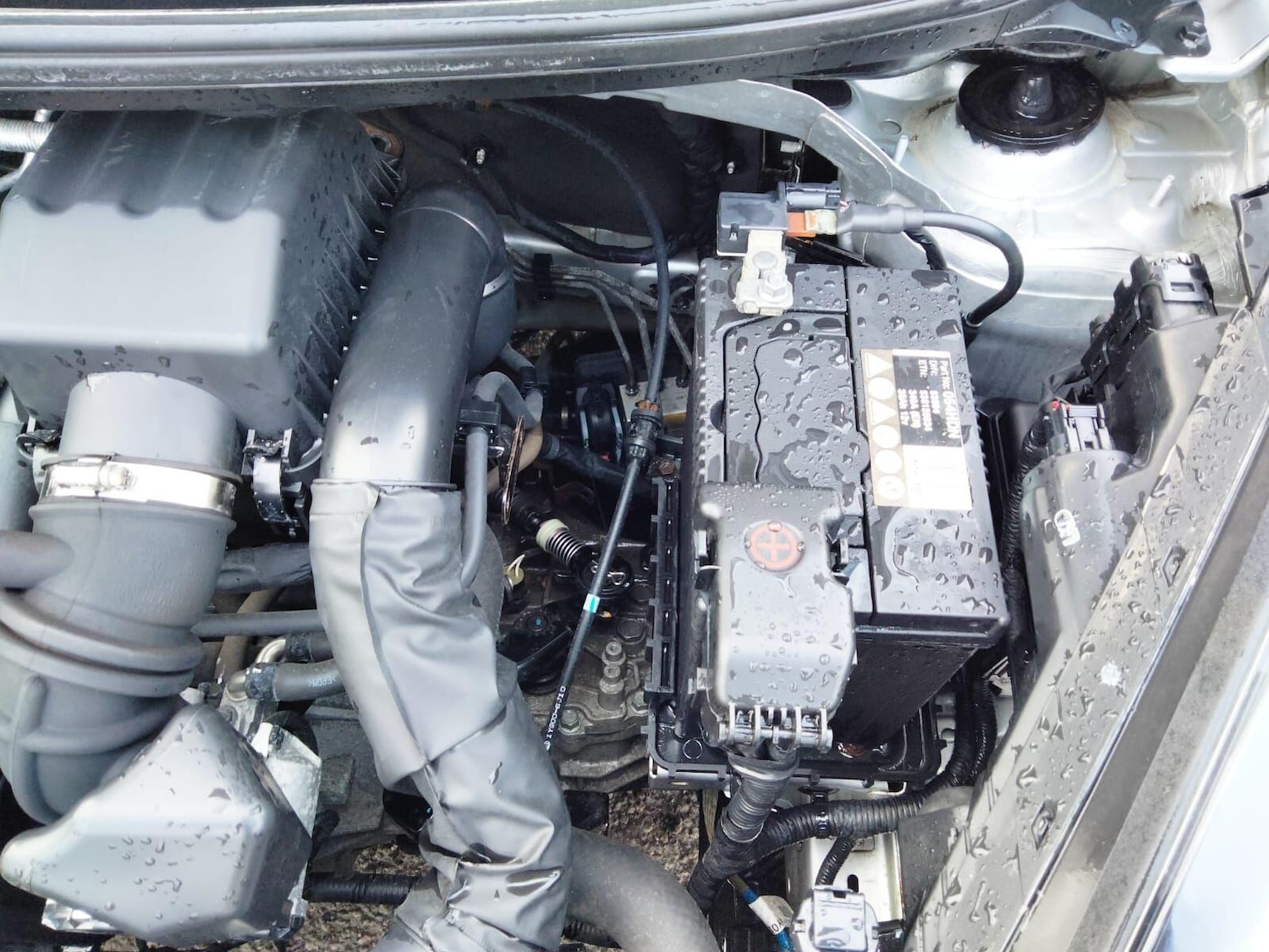 Used Kia Picanto 2017 for sale - 77081726: Photo 52