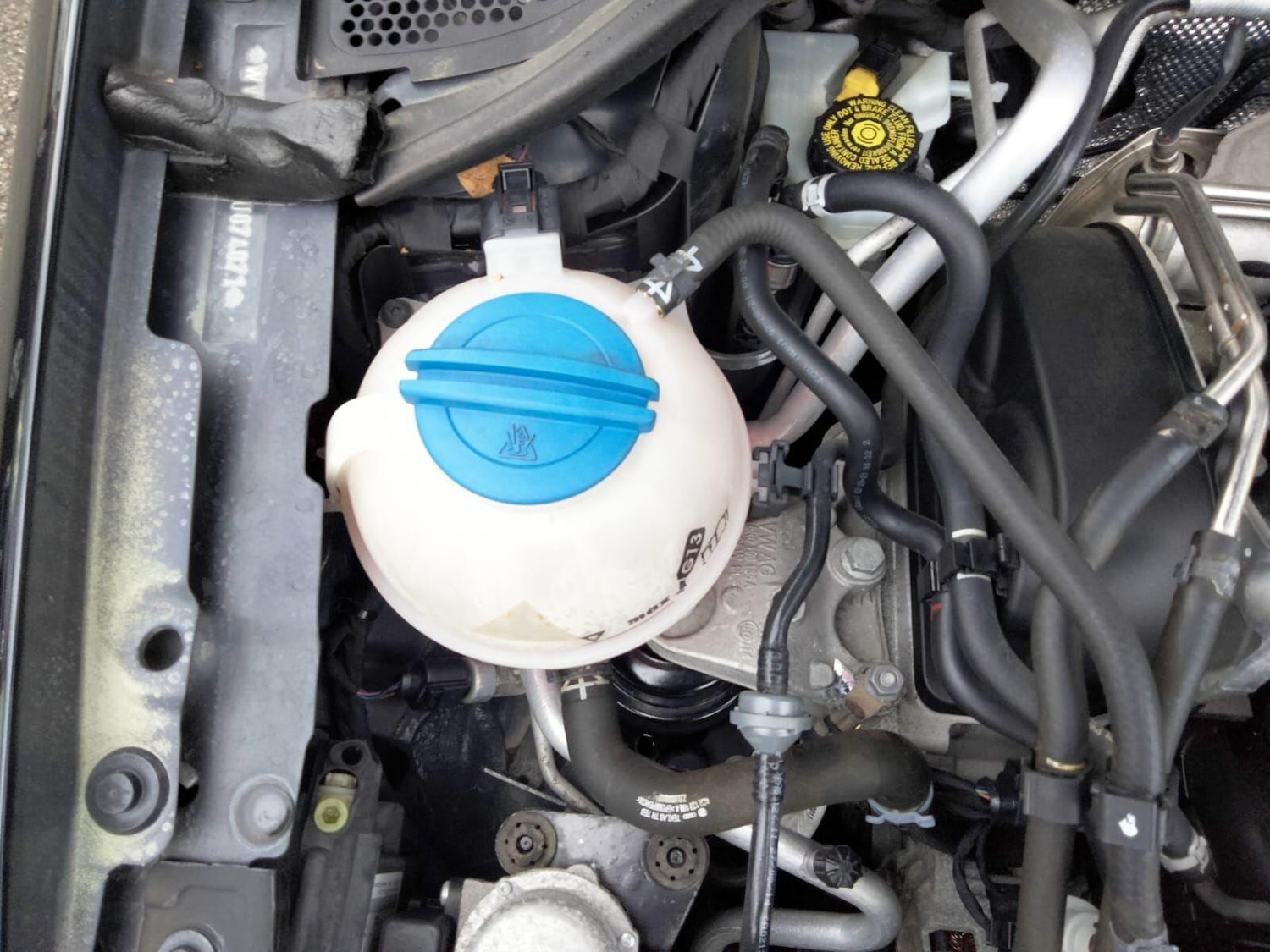 Used Volkswagen Polo 2025 for sale - 77053983: Photo 60