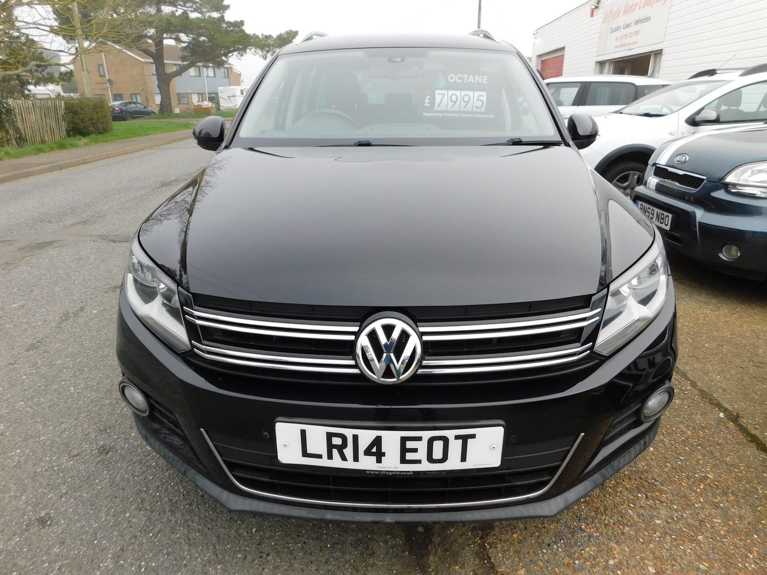 Used Volkswagen Tiguan 2014 for sale - 77744433: Photo 3