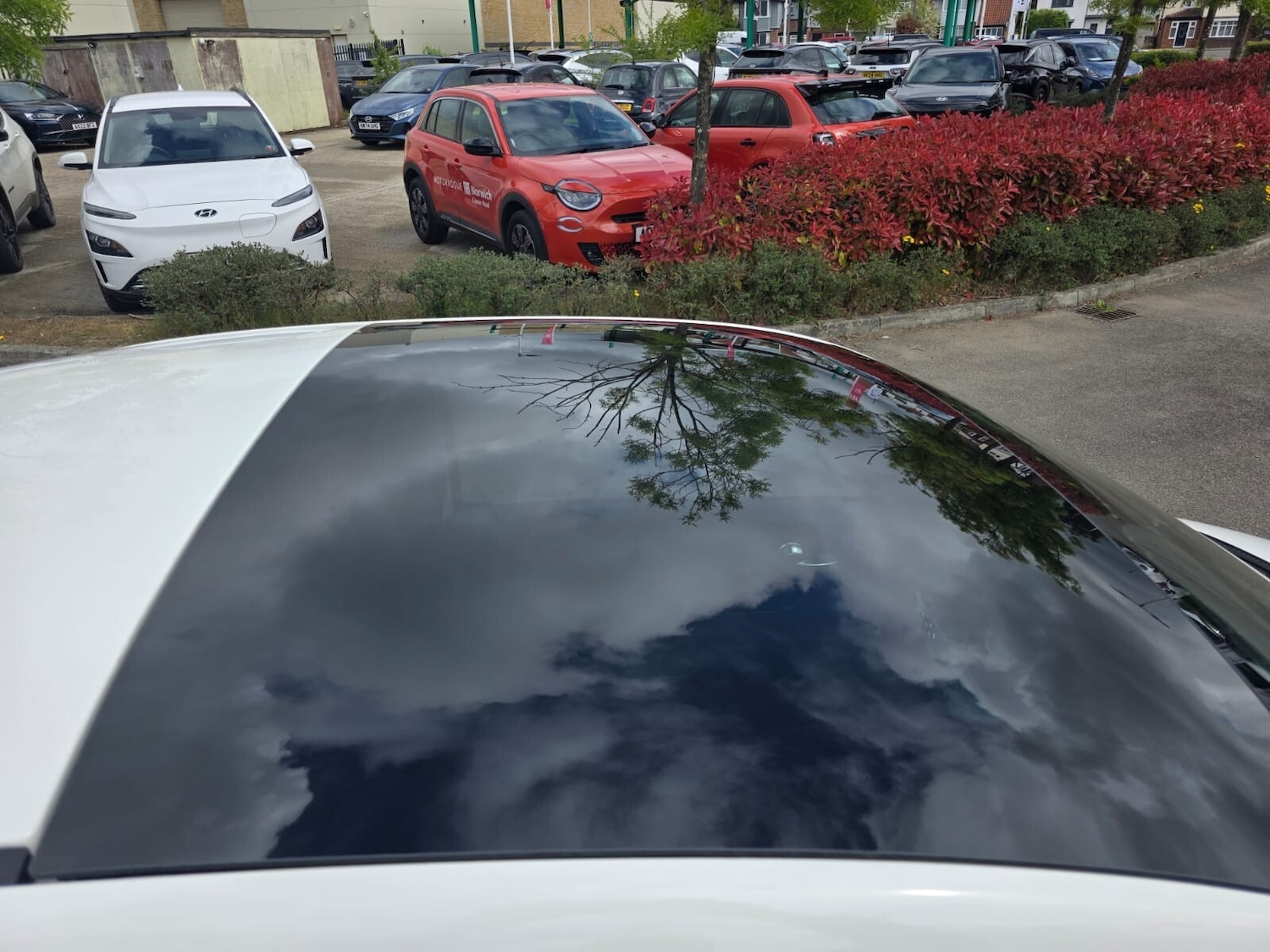 Used Fiat 500 2025 for sale - 76372887: Photo 11