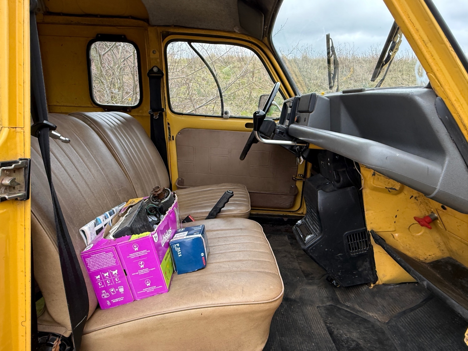 Used Renault 4 1987 for sale - 77730223: Photo 13