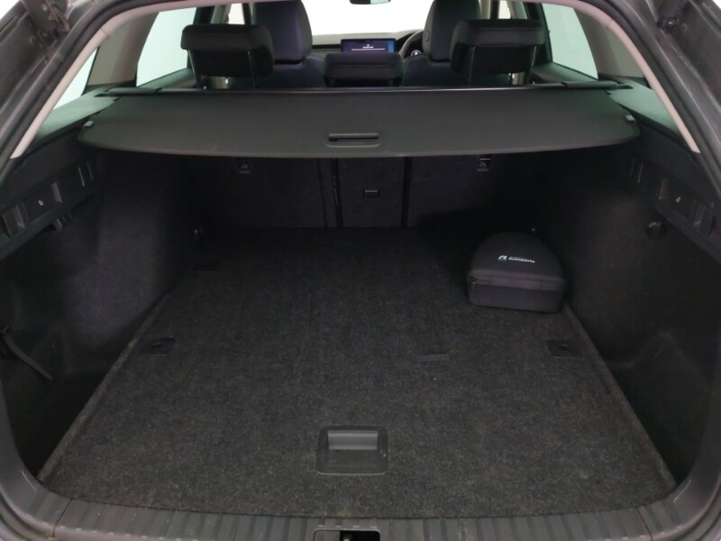 Used Skoda Octavia 2025 for sale - 76348101: Photo 8