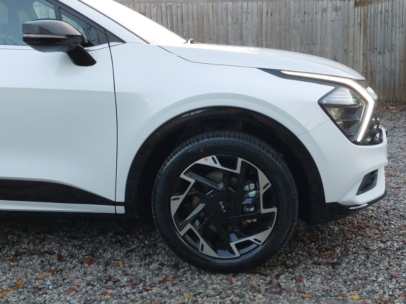 Used Kia Sportage 2025 for sale - 77012798: Photo 12