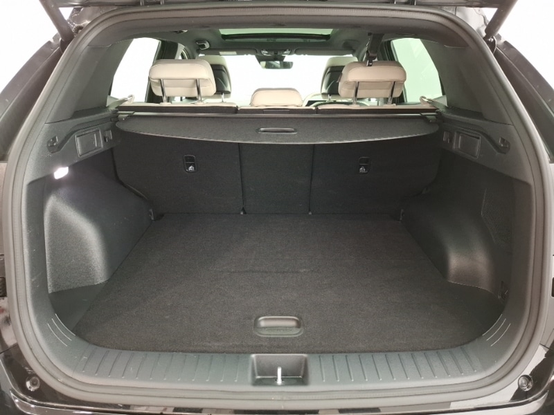 Used Kia Sportage 2025 for sale - 77998891: Photo 8