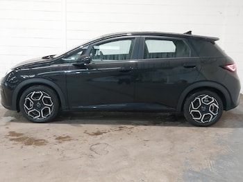 Used BYD Dolphin 2026 for sale - 79238490: Photo