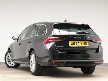 Used Skoda Octavia 2025 for sale - 76639798: Photo