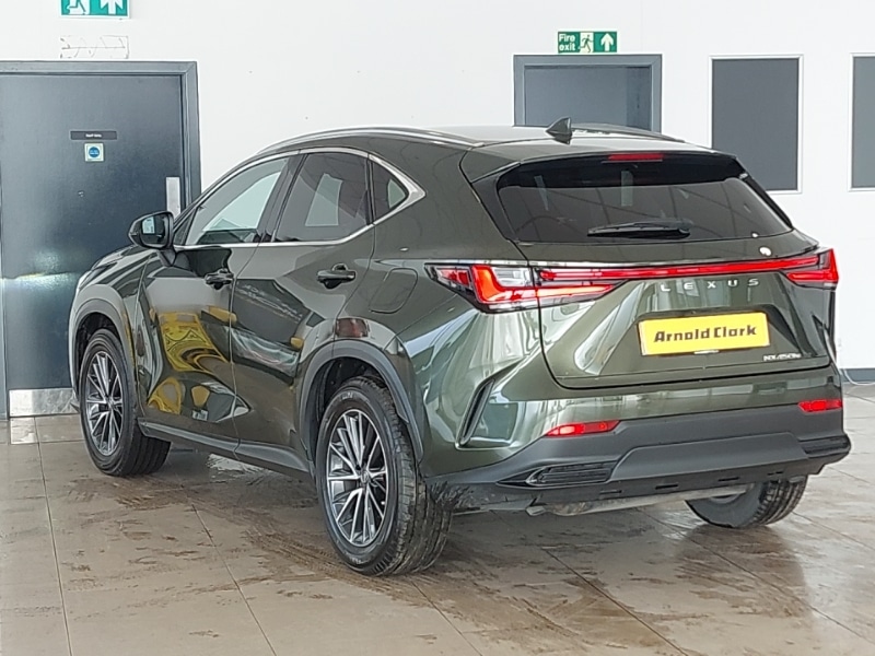 Used Lexus NX 2024 for sale - 77876672: Photo 3
