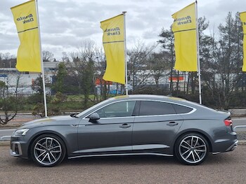 Used Audi A5 2023 for sale - 77912279: Photo