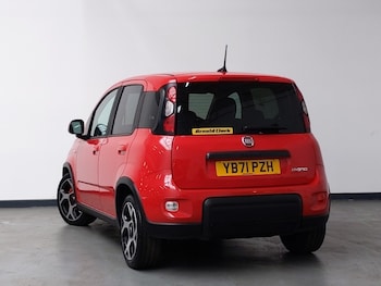 Used Fiat Panda 2022 for sale - 79201286: Photo