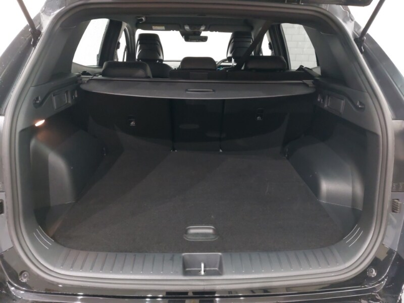 Used Kia Sportage 2025 for sale - 77630553: Photo 8