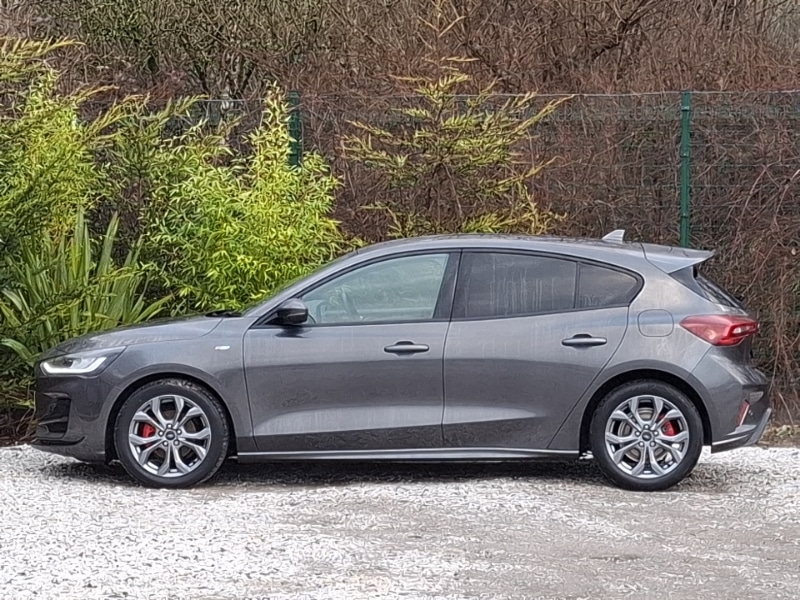 Used Ford Focus 2023 for sale - 77266217: Photo 4