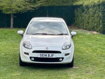 Used Fiat Punto 2014 for sale - 75024284: Photo