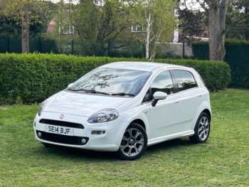 Used Fiat Punto 2014 for sale - 75024284: Photo