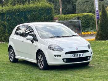 Used Fiat Punto 2014 for sale - 75024284: Photo
