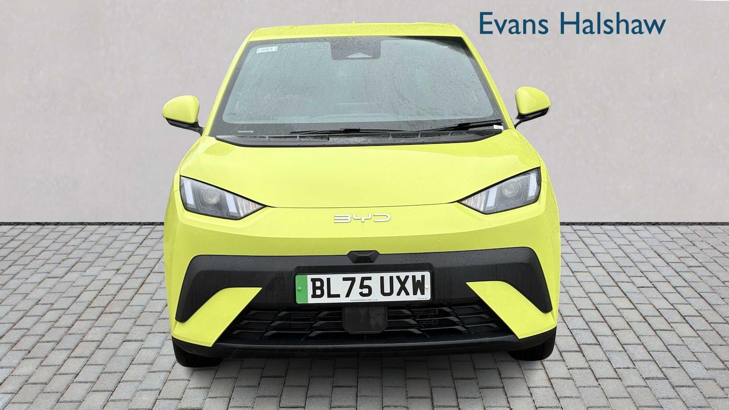 Used BYD Dolphin for sale - 77859089: Photo 4