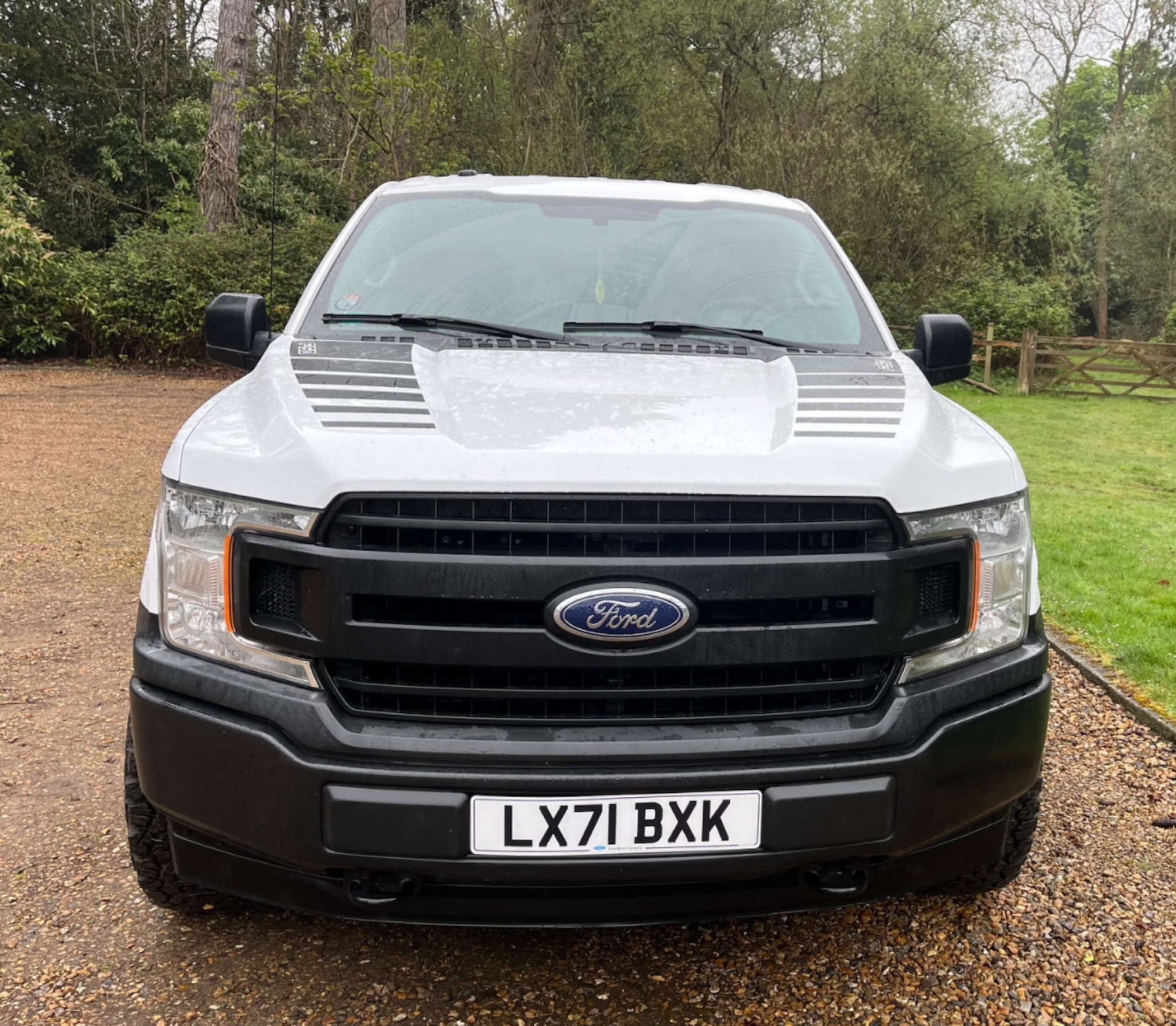 Used Ford F150 2021 for sale - 76363854: Photo 3