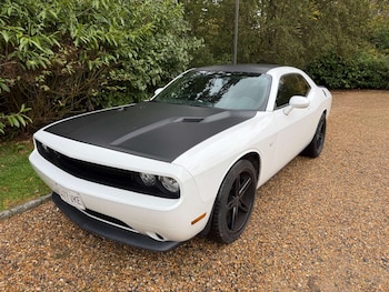 Used Dodge Challenger undefined for sale - 76453768: Photo