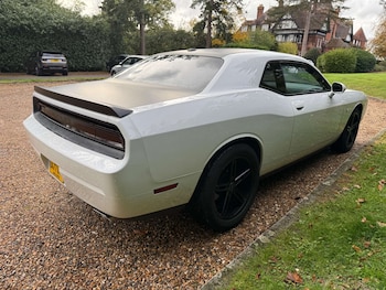 Used Dodge Challenger undefined for sale - 76453768: Photo