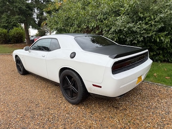 Used Dodge Challenger undefined for sale - 76453768: Photo