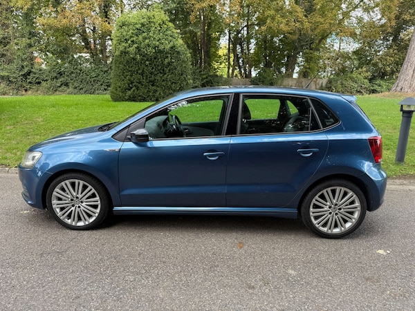 Used Volkswagen Polo 2013 for sale - 75979456: Photo 6