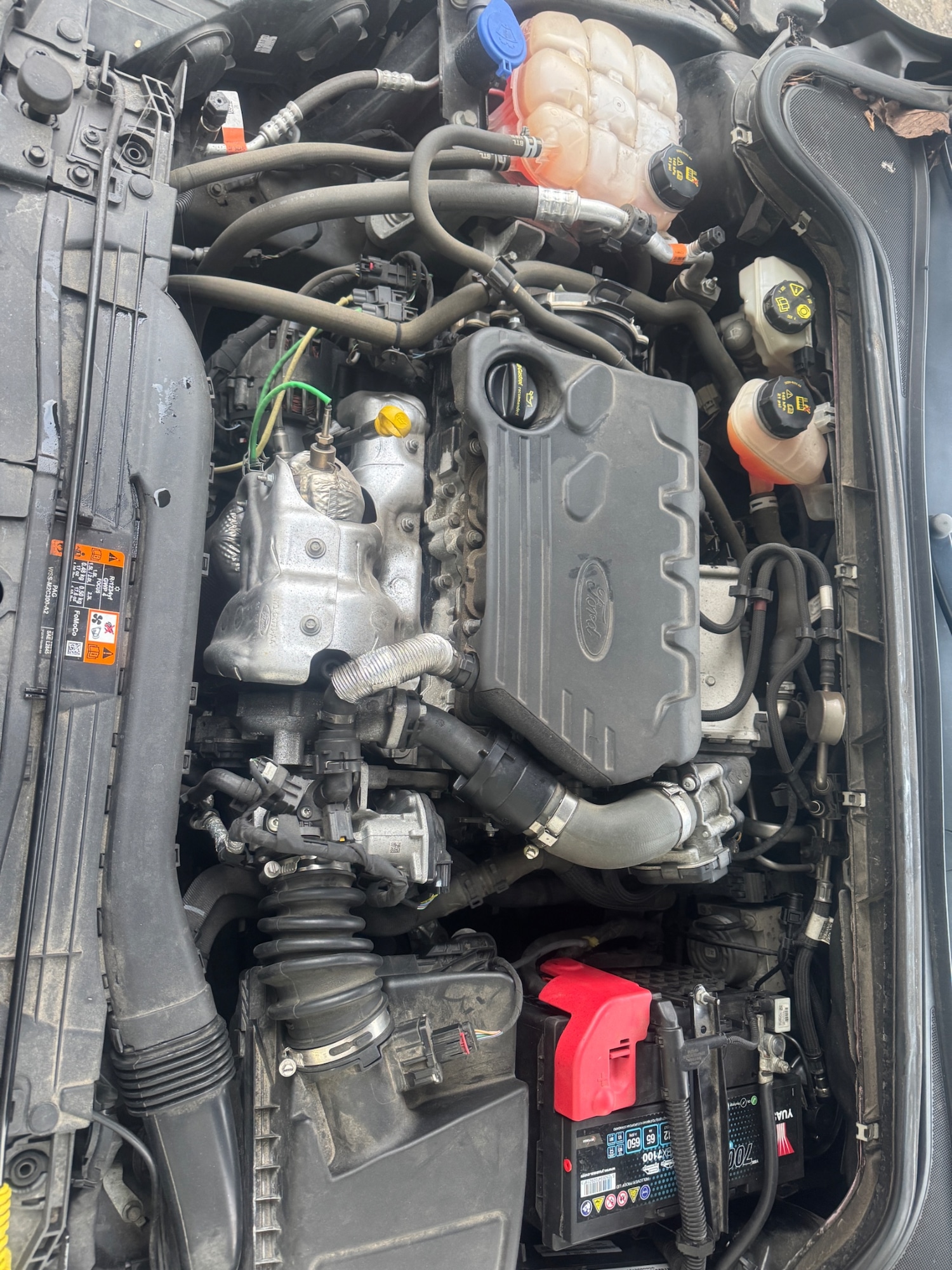 Used Ford Focus 2019 for sale - 77606974: Photo 13