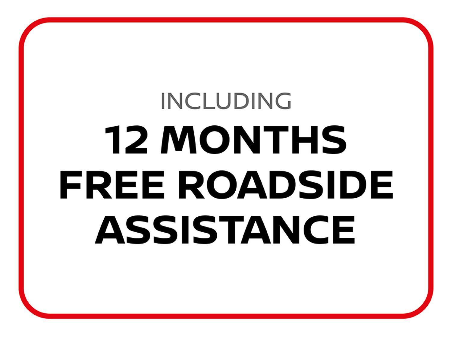 Used Nissan Leaf for sale - 76538934: Photo 29