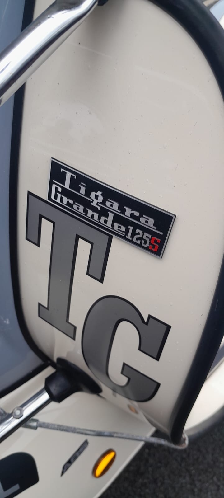 Used Royal Alloy TG 2022 for sale - 78931846: Photo 11