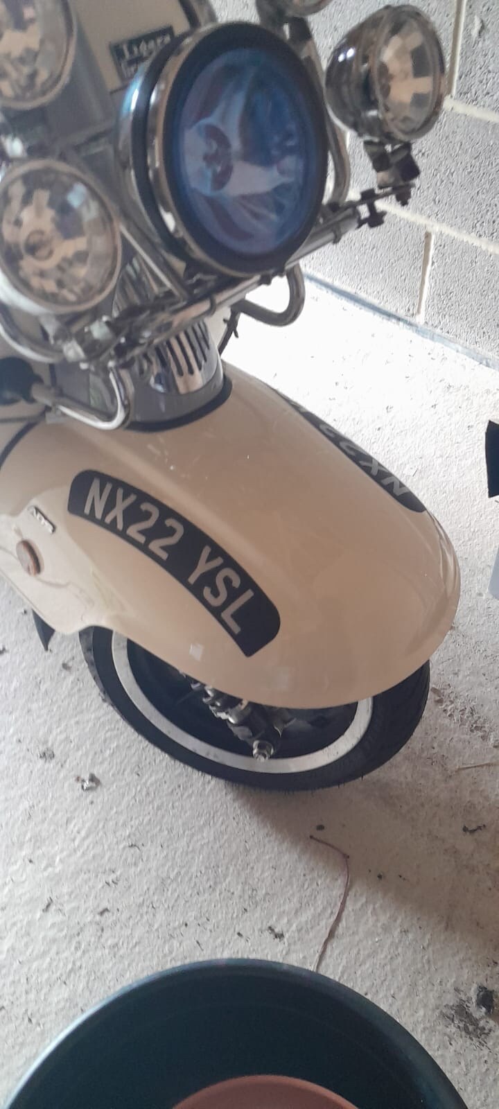 Used Royal Alloy TG 2022 for sale - 78931846: Photo 5