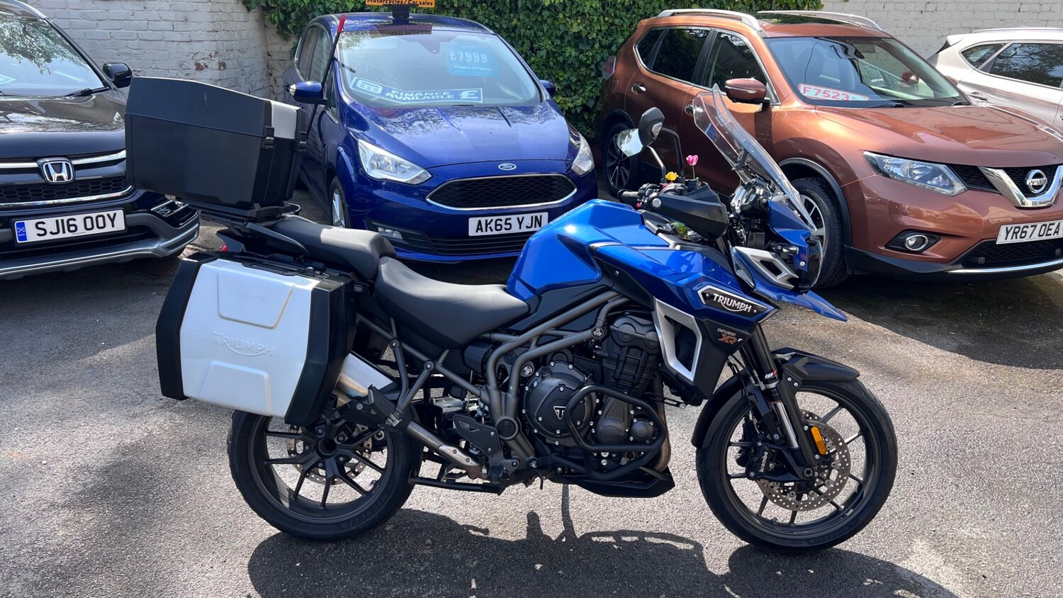 Triumph TIGER