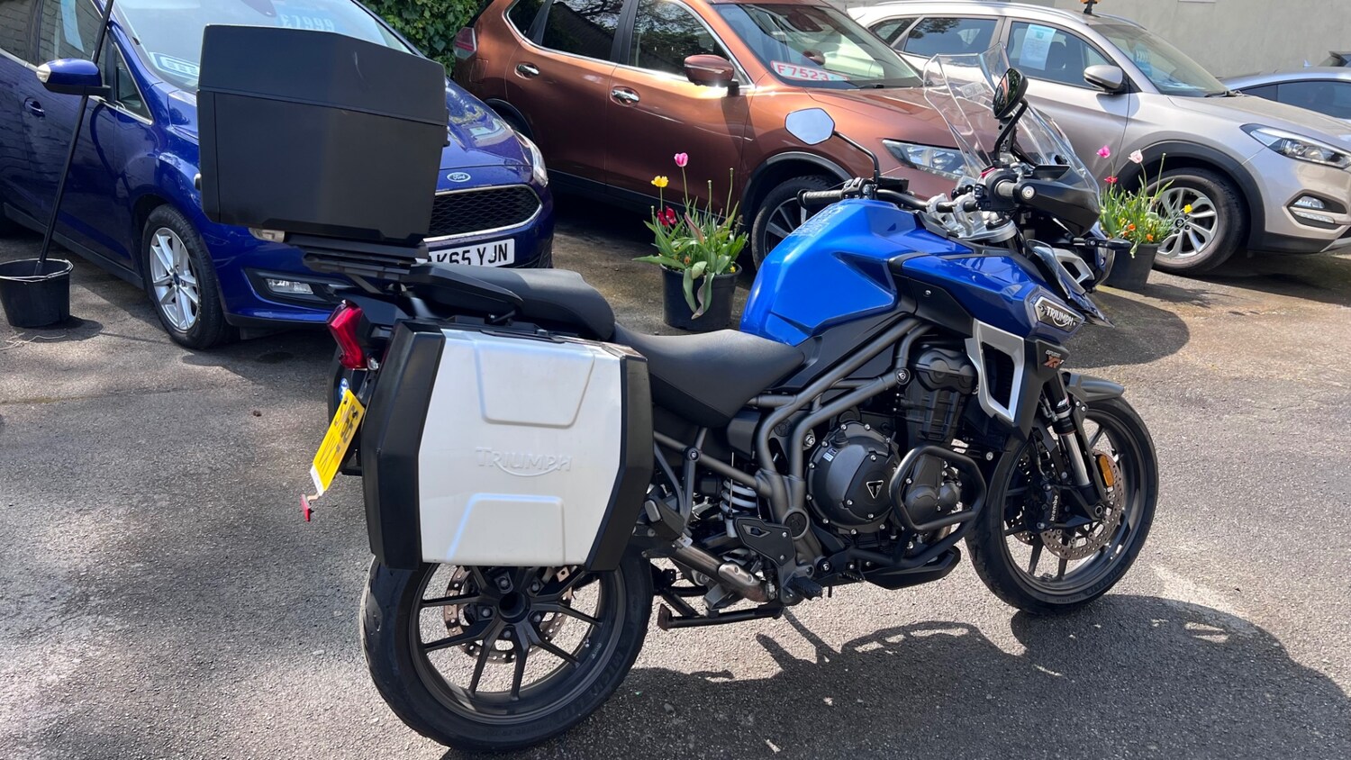 Triumph TIGER