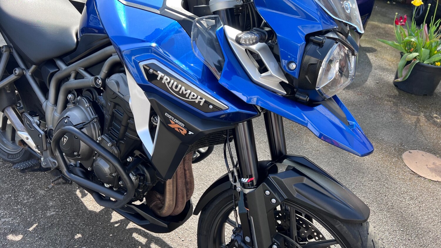 Triumph TIGER