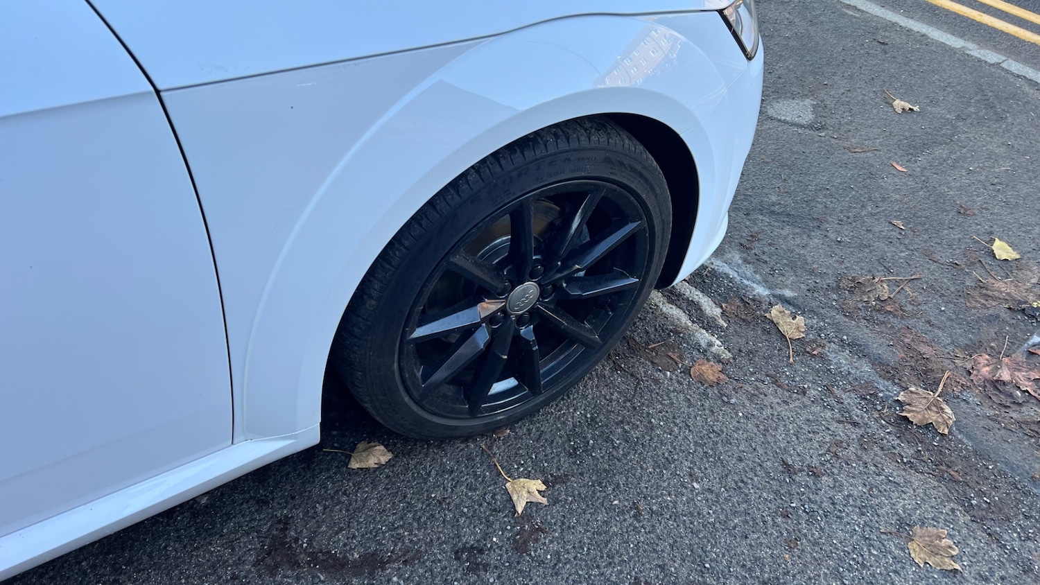 Used Audi TT 2015 for sale - 76549018: Photo 19