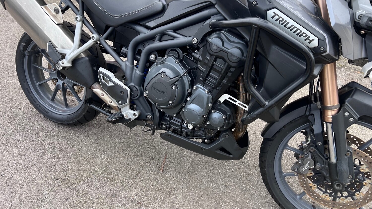 Triumph TIGER