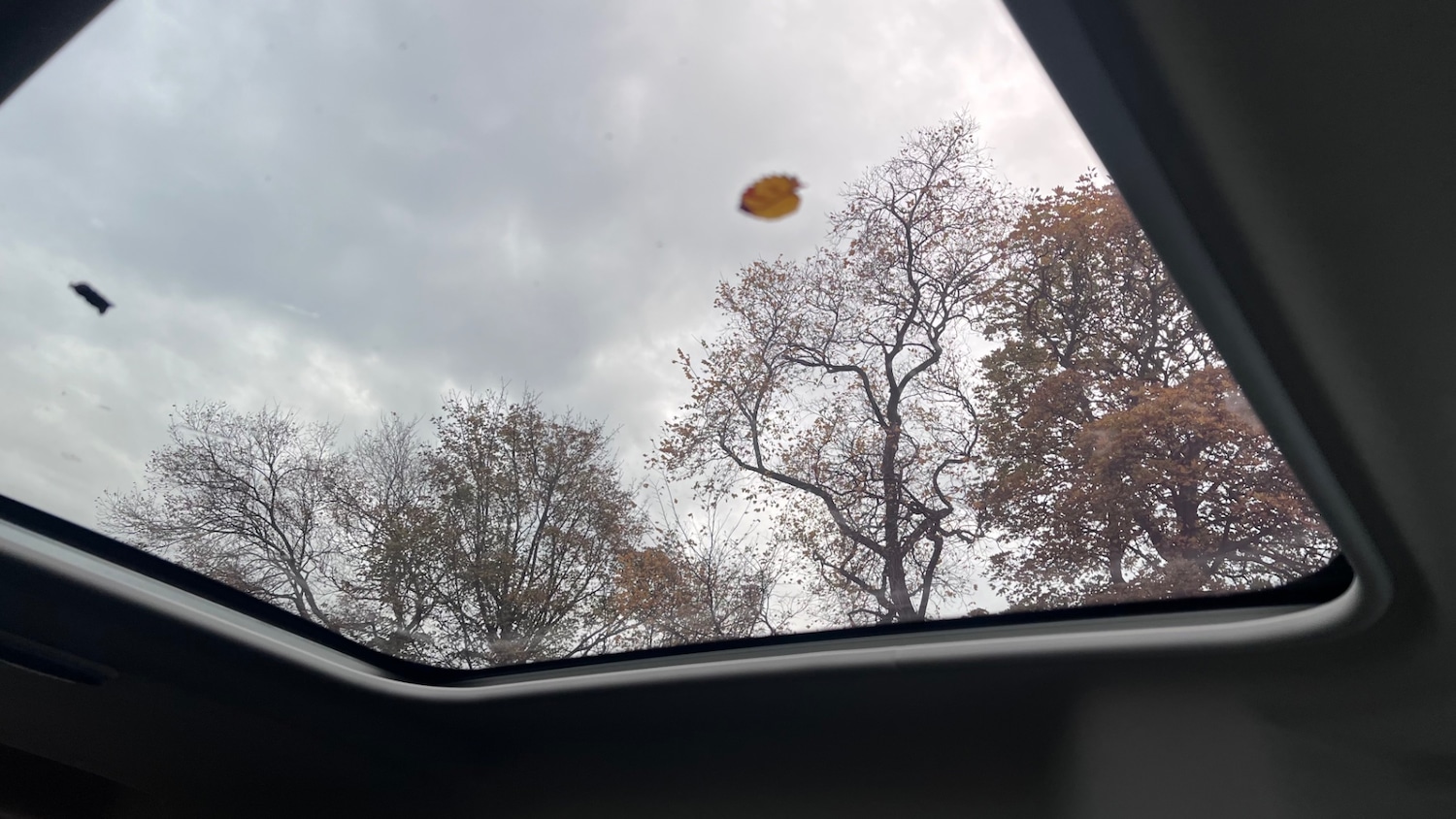 Used Ford Grand Tourneo Connect 2018 for sale - 76471400: Photo 35