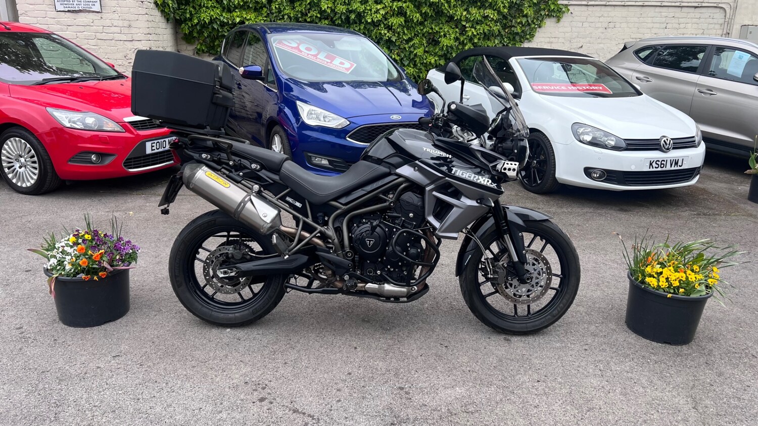 Triumph TIGER
