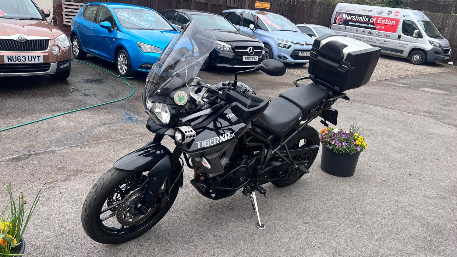 Triumph TIGER