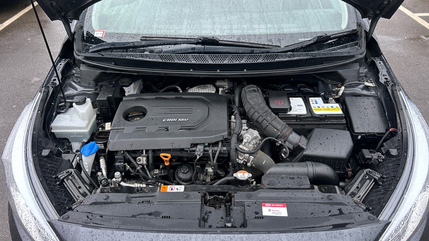 Used Kia Ceed 2017 for sale - 77522223: Photo 16