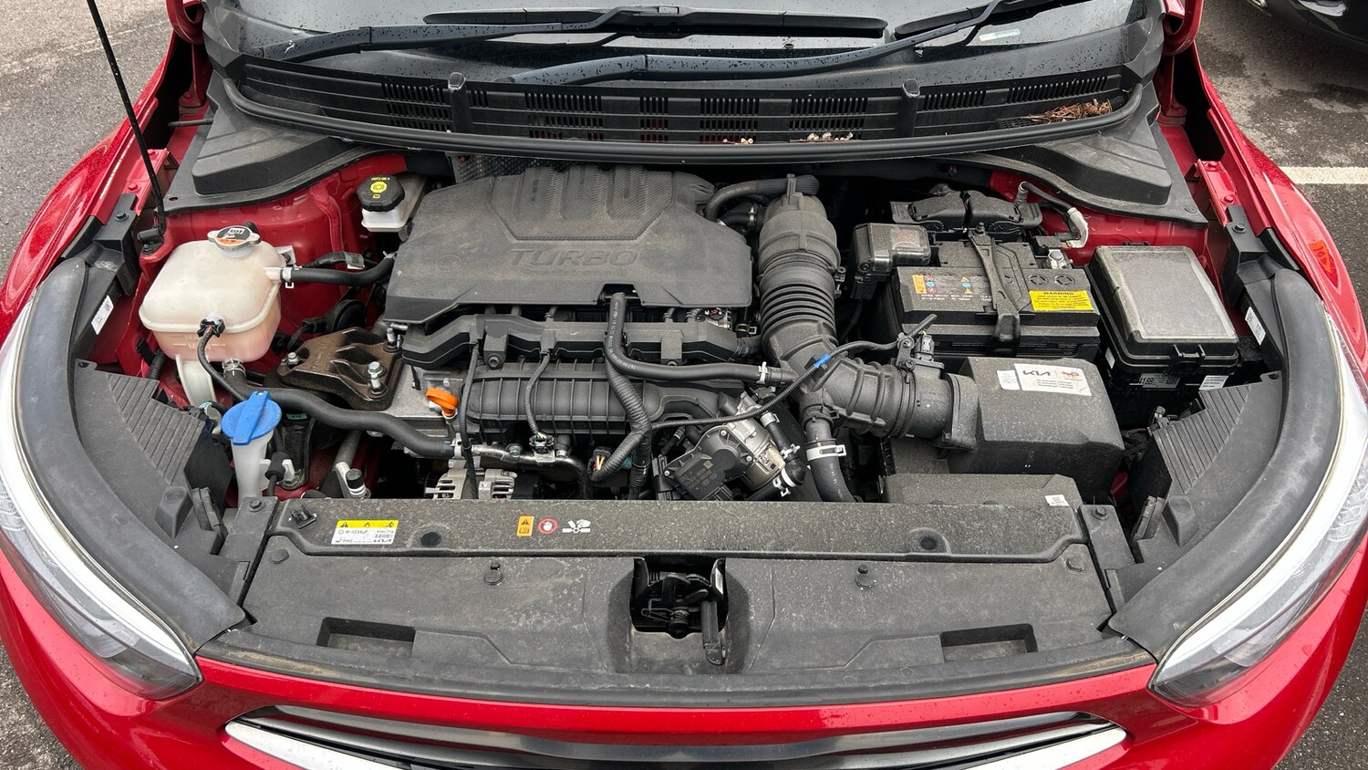 Used Kia Stonic 2022 for sale - 78070236: Photo 16