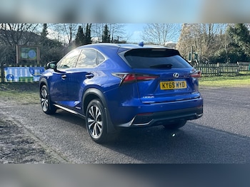 Used Lexus NX 2019 for sale - 78021371: Photo