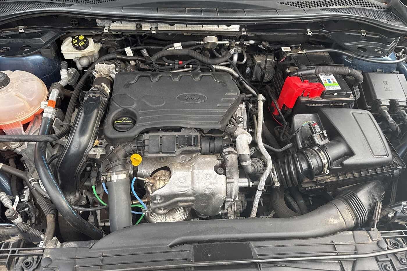 Used Ford Kuga 2020 for sale - 77166810: Photo 8