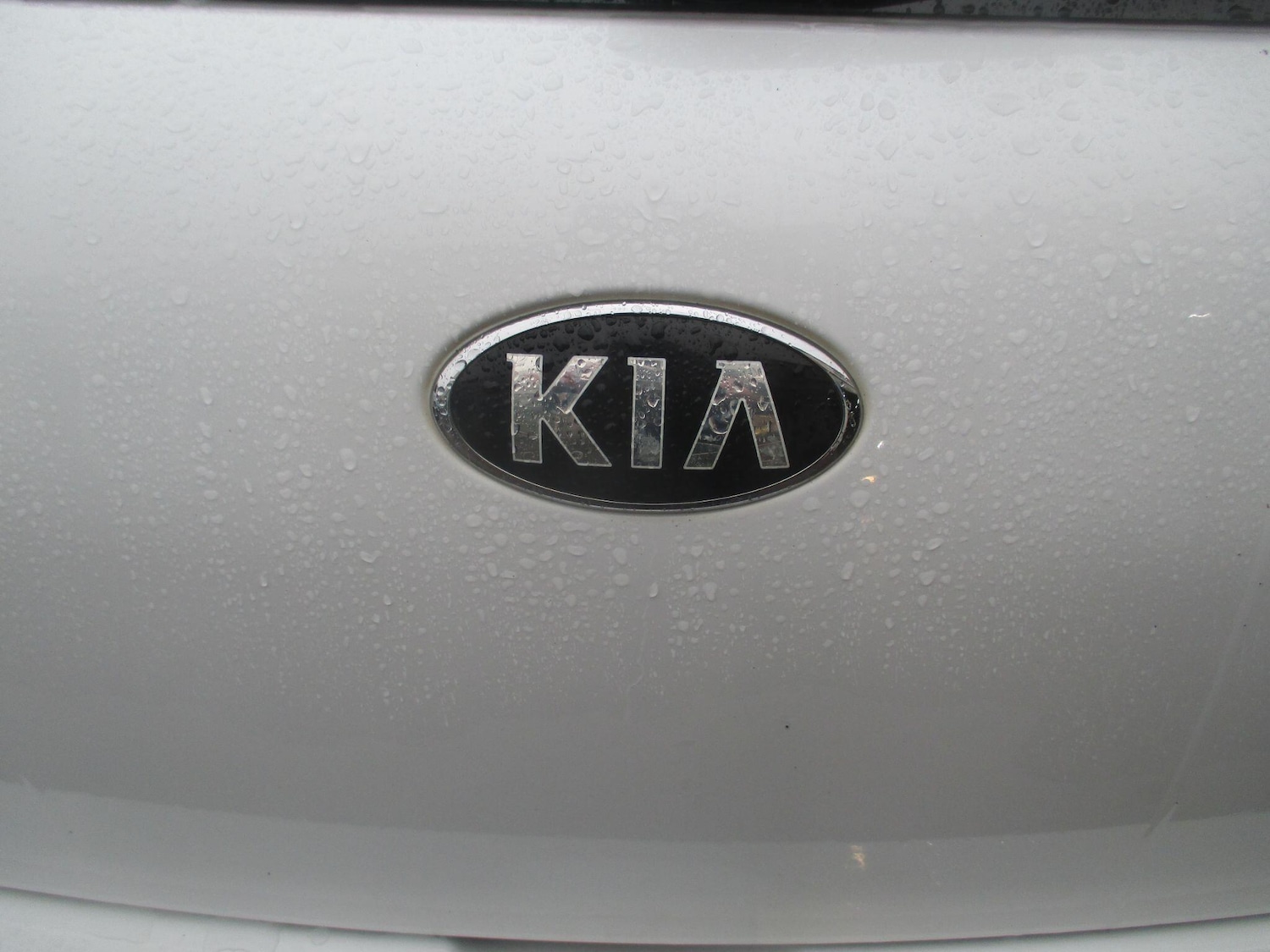 Used Kia Ceed 2015 for sale - 77671104: Photo 21