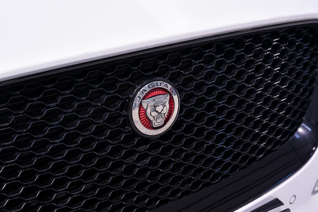 Used Jaguar F-Pace 2019 for sale - 76804469: Photo 10